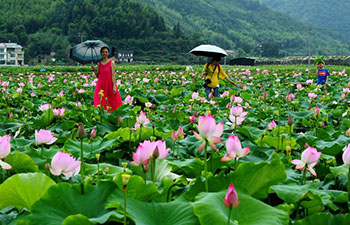 Tourists view lotus flowers in Wufu Town, Fujian