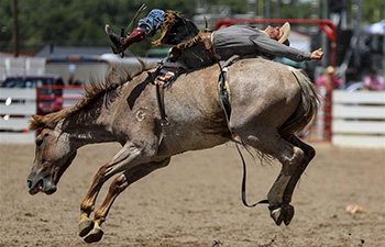 Bull riding event held during Cheyenne Frontier Days, U.S.