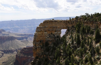 Scenery of Grand Canyon in U.S.