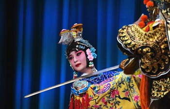 Chinese Culture Day opening ceremony held in Yerevan, Armenia