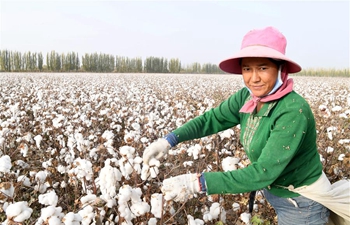 In pics: "Town of Cotton" in NW China's Xinjiang