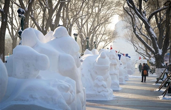 In pics: 2,020 snowmen stand in Harbin to greet New Year