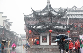 Snowfall hits Nanjing, E China's Jiangsu