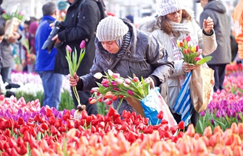 Netherlands' National Tulip Day held in Amsterdam