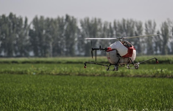 Unmanned aerial vehicles put into use for spraying pesticide in Yingkou, Liaoning