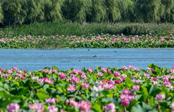 View of national wetland park in Jilin