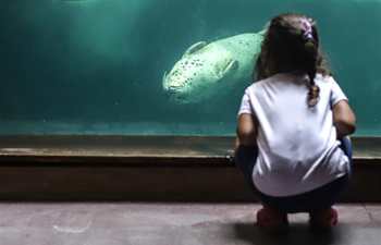 Sao Paulo's Aquarium reopens