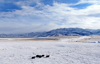 View of Arou grassland after snow in NW China