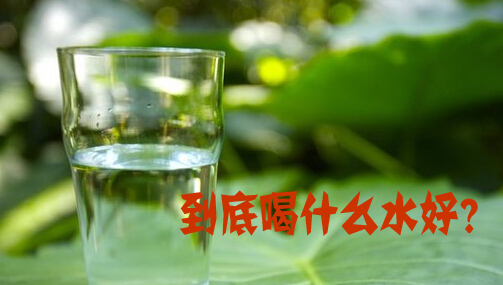 专家详解水秘密：白开水矿泉水纯净水 哪个更健康