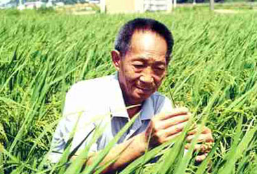 袁隆平:中国有能力解决好吃饭问题