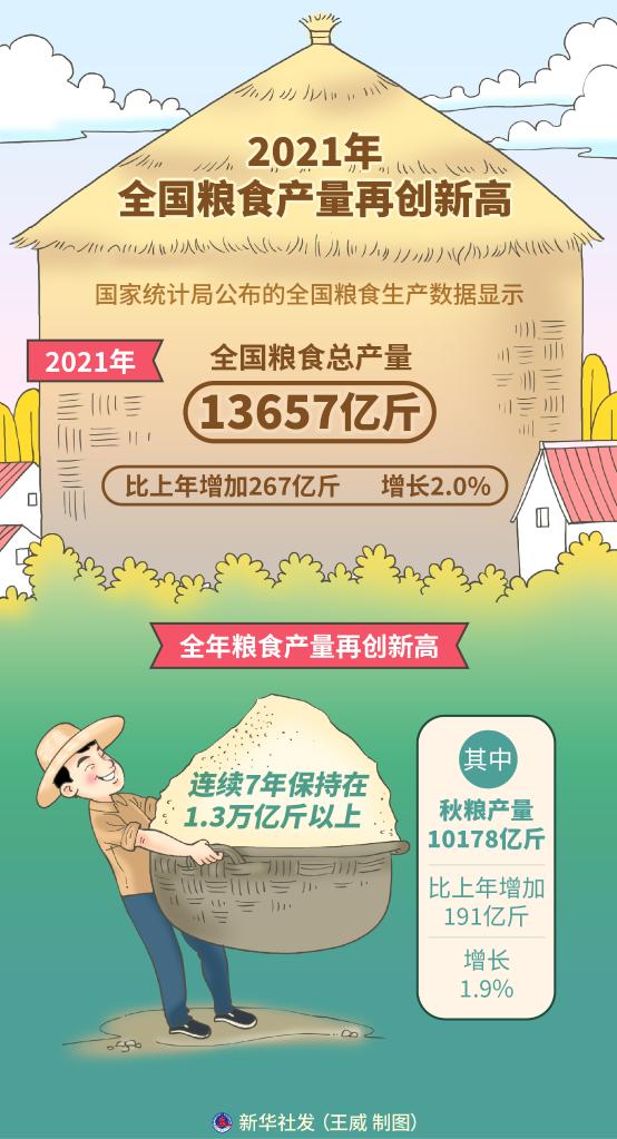 再创新高!2021年全国粮食总产量达13657亿斤-新华网