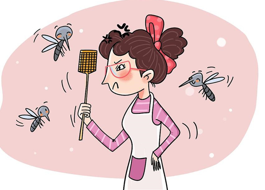 夏天蚊子多，學會這幾招幫你有效防蚊