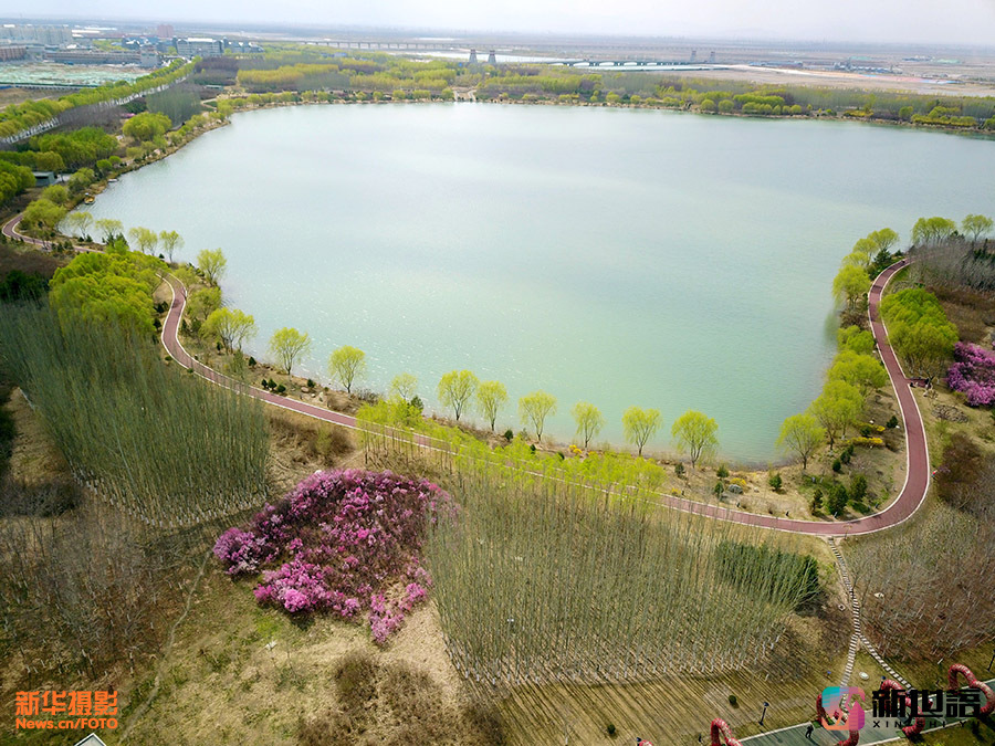 芦水湾生态景区位于甘肃张掖滨河新区,现为国家4a级旅游景区.