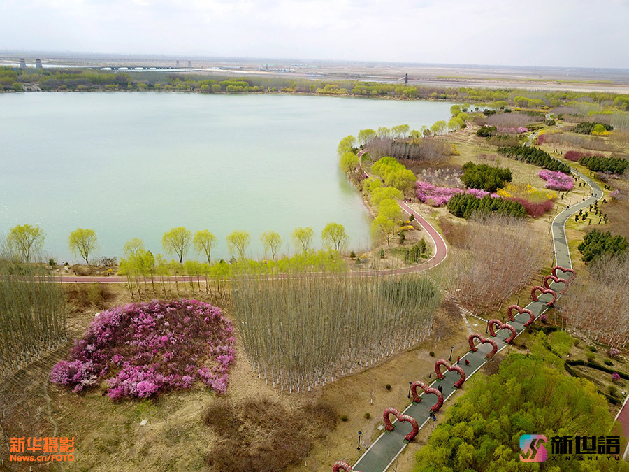 芦水湾生态景区位于甘肃张掖滨河新区,现为国家4a级旅游景区.