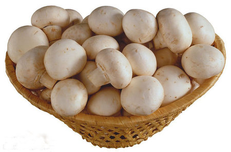 3,白蘑菇白蘑菇代表着酸,甜,苦,辣,咸外的第六种味道—鲜味,是很好