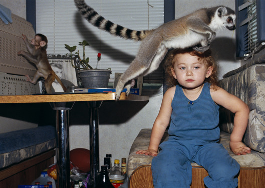 美攝影師母親拍攝女兒與動物親密照【圖】
