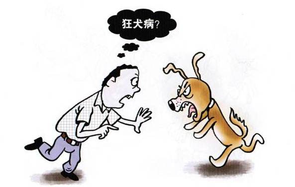 遏制狂犬病要从源头做起