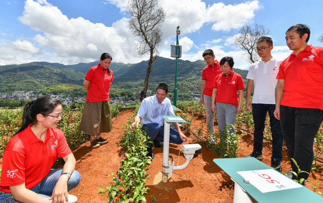 聯(lián)通5G助力福建智慧茶園香飄萬(wàn)里 “既高效 又精準(zhǔn)”