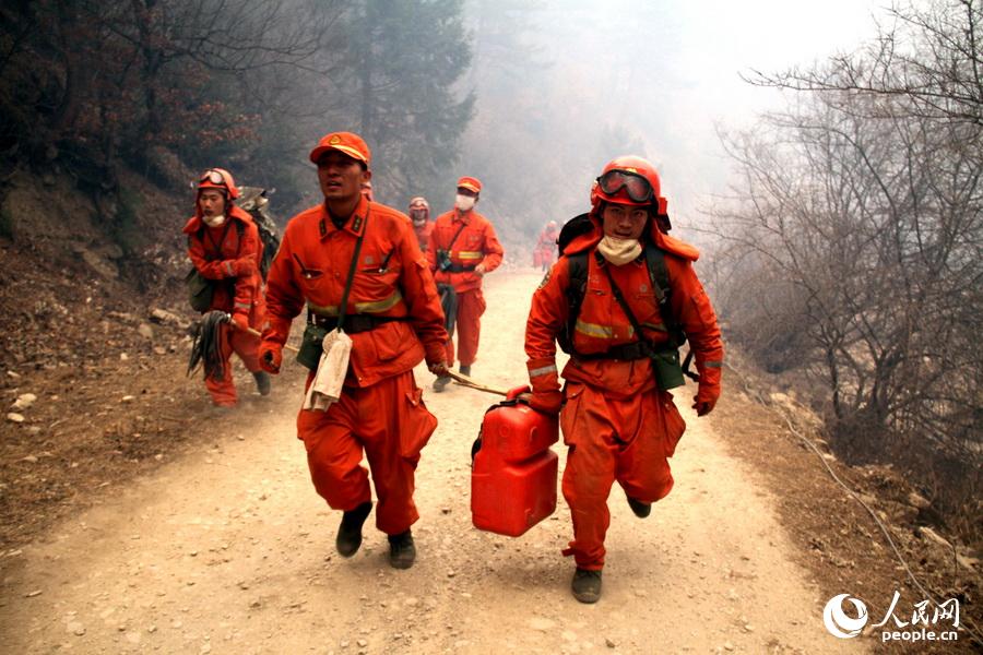 武警甘肃森林总队全力扑救迭部森林火灾(图)