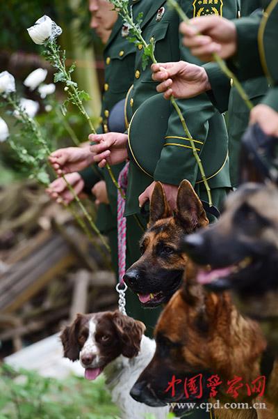 人犬情未了 特区退伍兵回营祭犬 新华时政 新华网