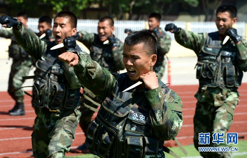 特勤队官兵在进行匕首操训练.