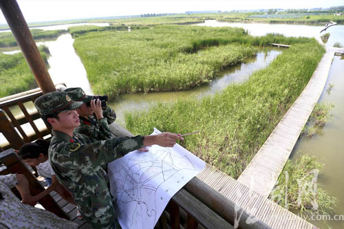 江苏盐城边防:退伍老兵手绘地图助力湿地守护