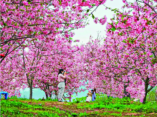 华南国家植物园：“城园融合”让羊城更靓