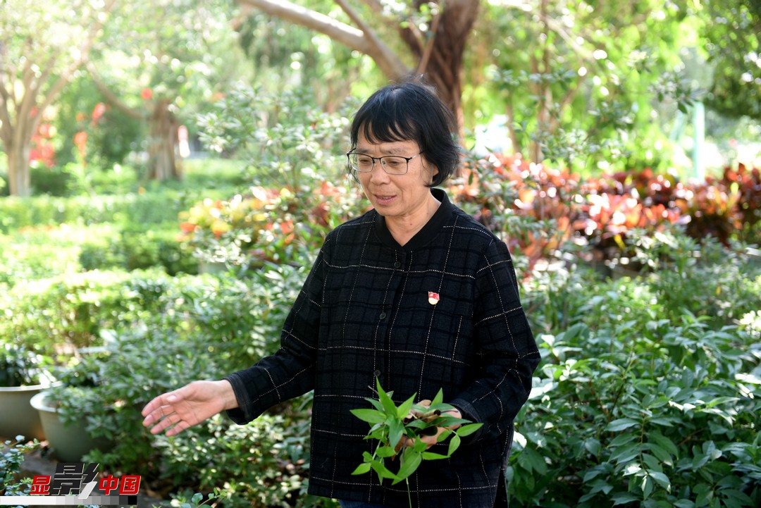 奇迹校长张桂梅和她的免费女子高中