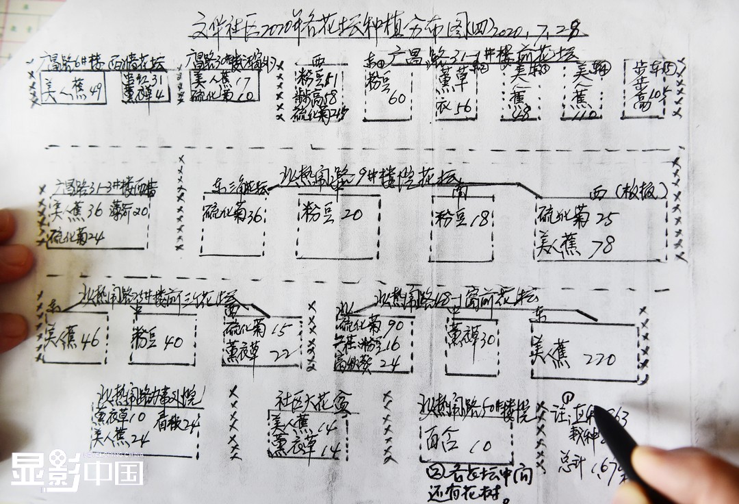 义务付出十四载八旬老两口把社区变花园