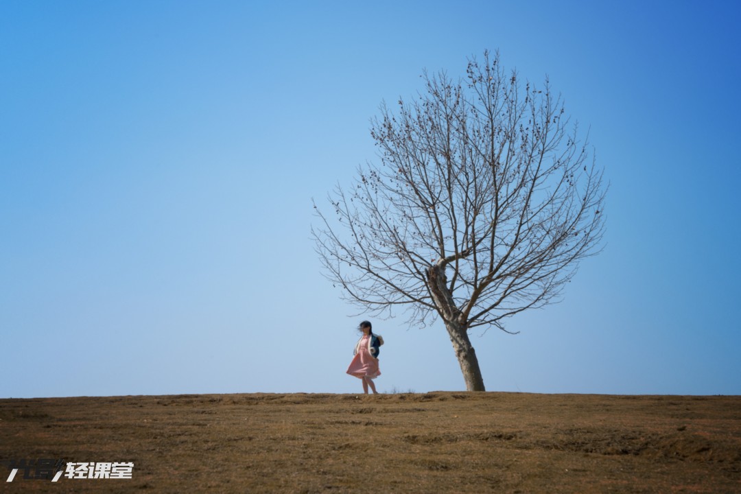 在南京钟山体育公园空旷的原野上,伫立着一棵孤独的树,女孩儿在风中转