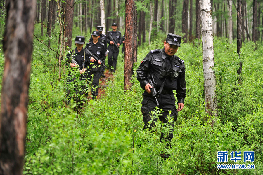 森林警察守护林海28年