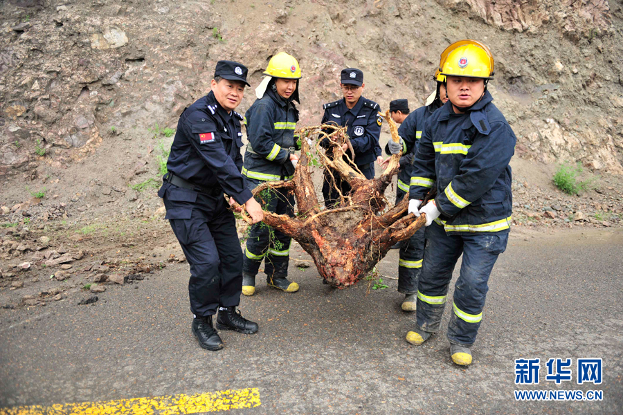 森林警察守护林海28年