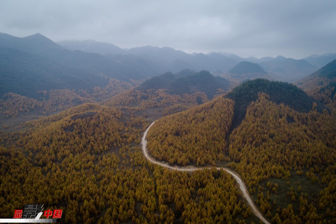 位于重庆市开州区北部的雪宝山国家级自然保护区,系大巴山南麓的主要