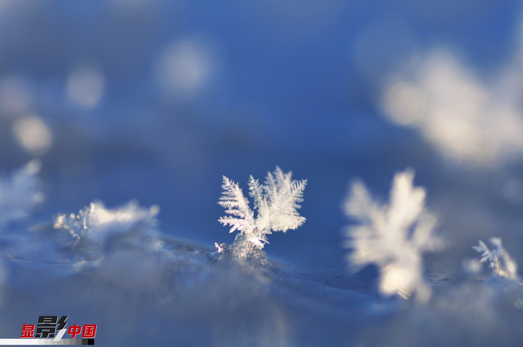 漠河"神州北极"的冰雪情韵