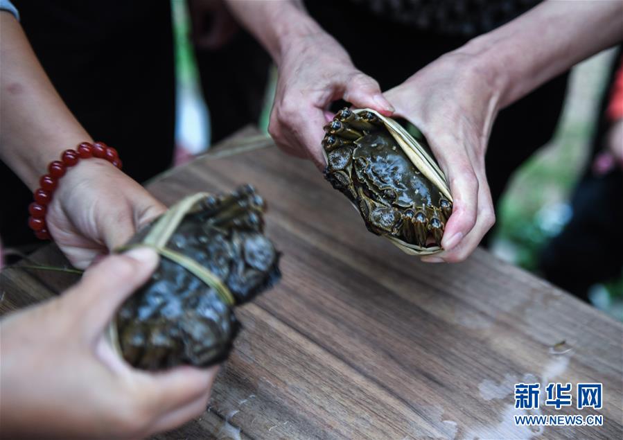 （社会）（3）金秋乡村“捆蟹赛”