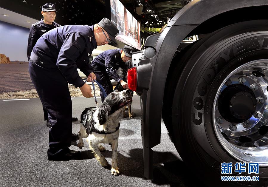 （第二届进博会）（2）警犬助力进博会保障工作