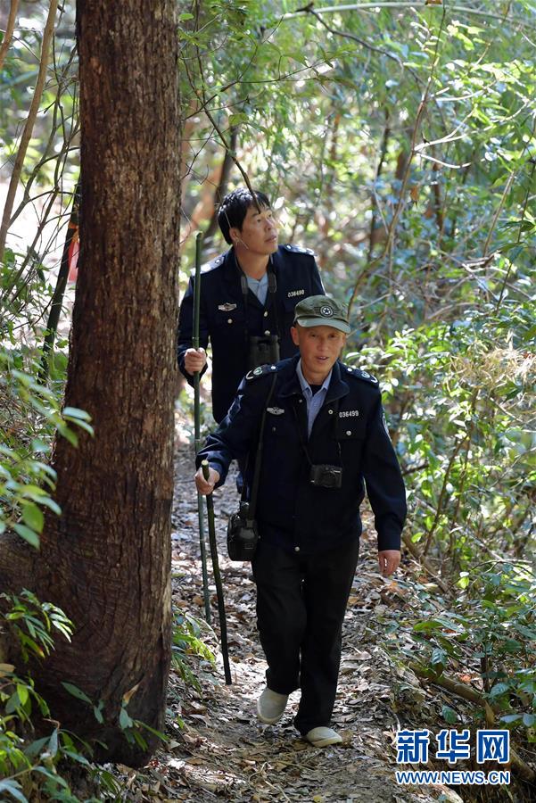 （图片故事）（8）守护深山三十载的“兄弟档”