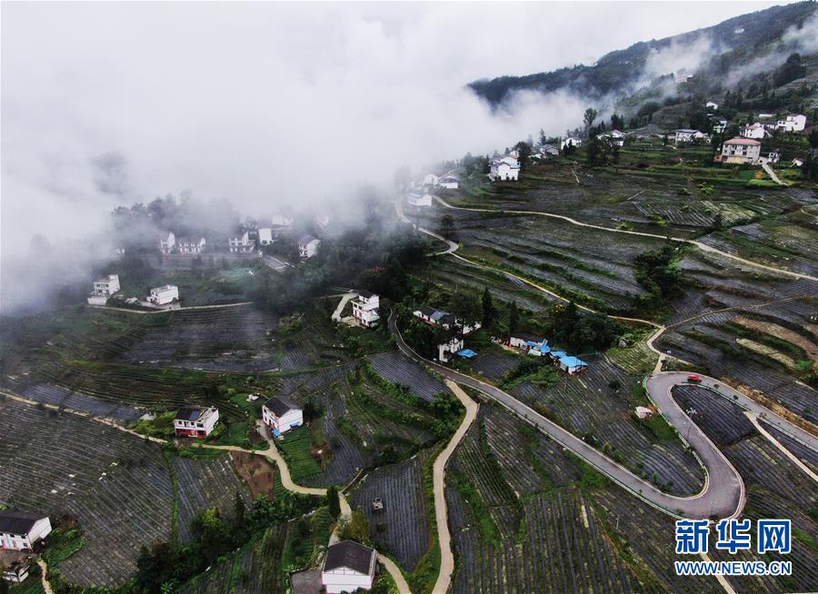 （美丽中国）（2）重庆开州：山村新貌