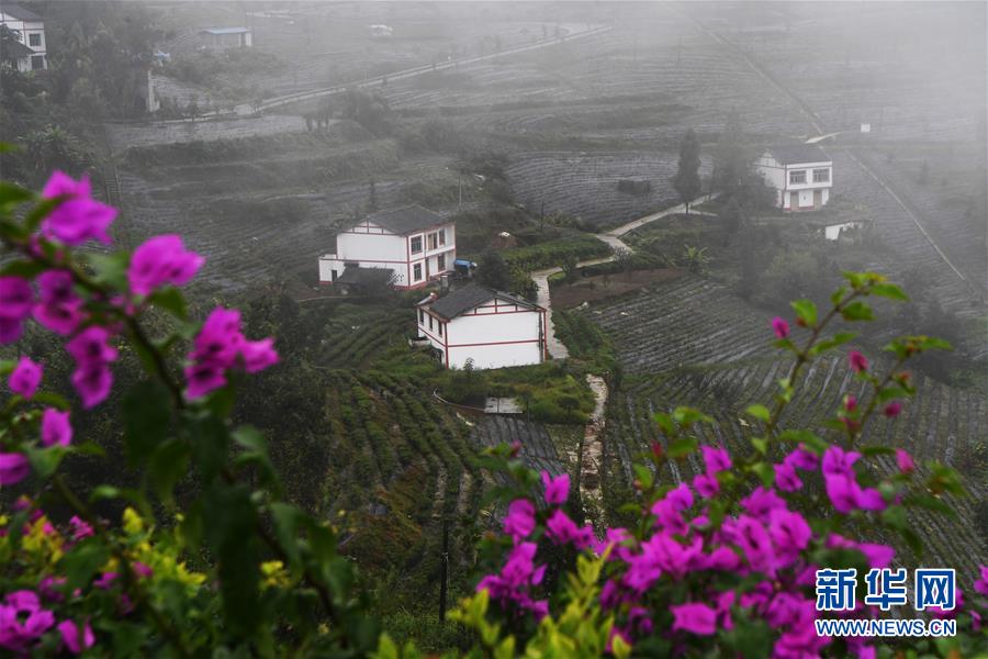 （美丽中国）（4）重庆开州：山村新貌