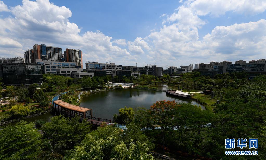 海南自贸港生态软件园GDP_走进自贸港 海南自由贸易港生态软件园