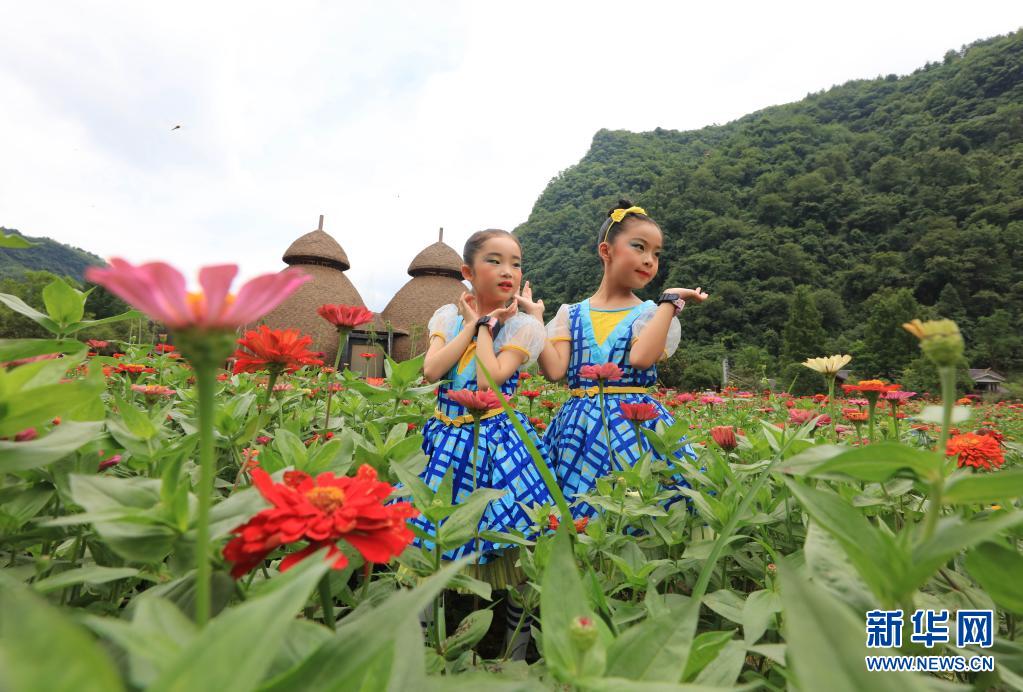 色彩斑斓！湖南张家界：夏日花海引客来