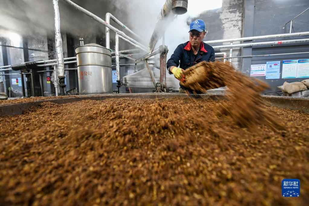 县的白酒企业进入酿酒繁忙期,当地企业员工按照非遗酿造技艺生产白酒