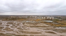 新疆且末：春風又“綠”河東岸