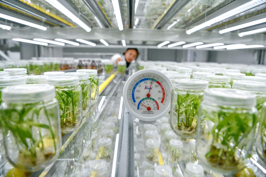 贵州:“数字农耕”为农民插上增收翅膀