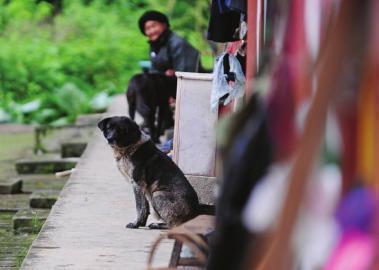 宝兴县有多少人口_快看!宝兴县最新常住人口数据出炉