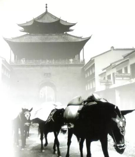 【追梦·西藏的足迹】西南丝绸之路:从茶马古道的烟尘到天路的呼啸