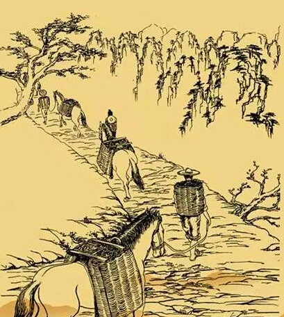 【追梦·西藏的足迹】西南丝绸之路:从茶马古道的烟尘到天路的呼啸