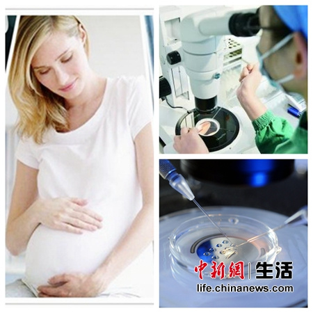 我国单身女性不能冻卵生育网友感慨“后悔药”水土不服