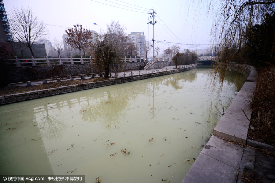 记者沿着河道向下游走,发现下游500多米长的河道内河水全部被污染