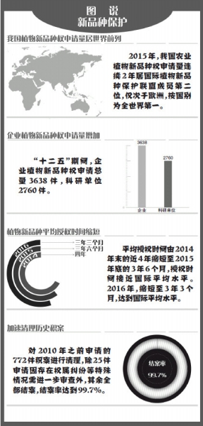 我国新品种权保护迈入高速时代-新华网